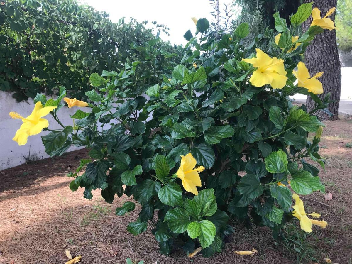 Villa Lucia 玛鲁吉奥 外观 照片