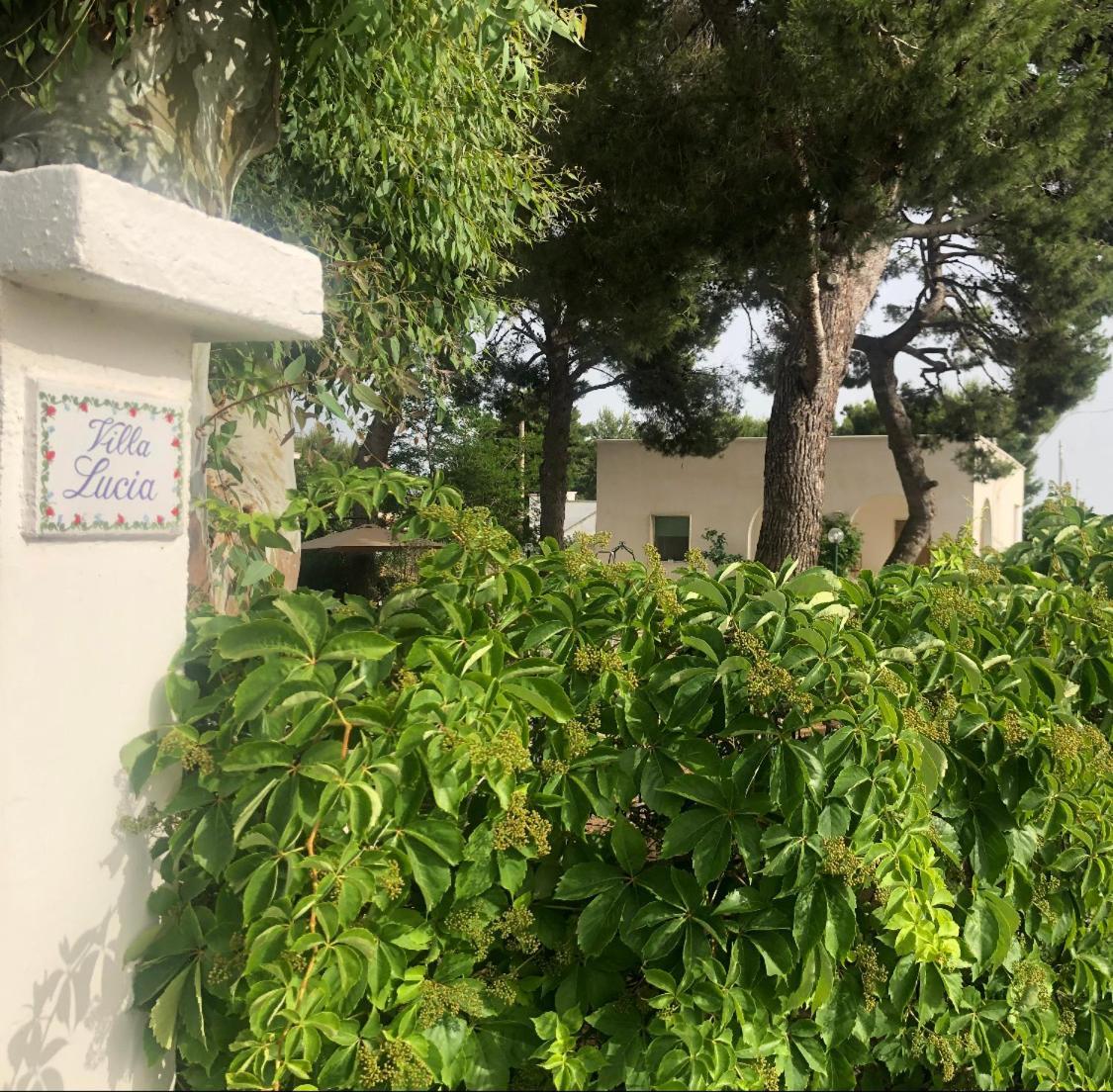 Villa Lucia 玛鲁吉奥 外观 照片
